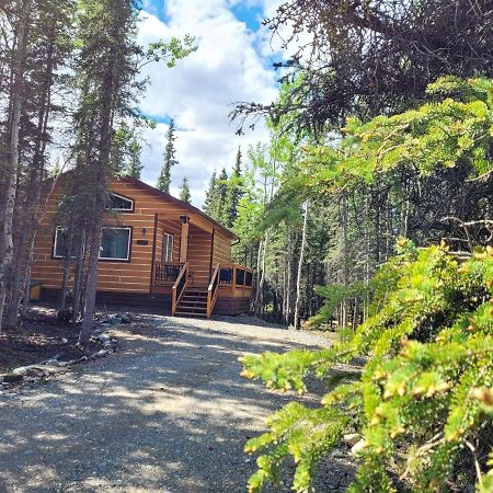 Denali Wild Stay - Moose Cabin, Free Wifi, 2 Private Bedrooms, Sleep 6 Хили Экстерьер фото