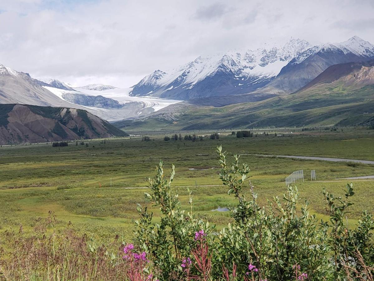 Denali Wild Stay - Moose Cabin, Free Wifi, 2 Private Bedrooms, Sleep 6 Хили Экстерьер фото