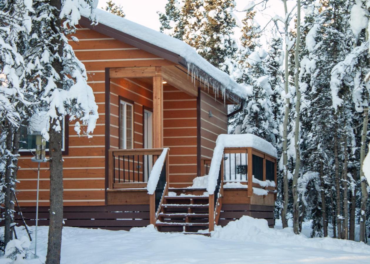 Denali Wild Stay - Moose Cabin, Free Wifi, 2 Private Bedrooms, Sleep 6 Хили Экстерьер фото