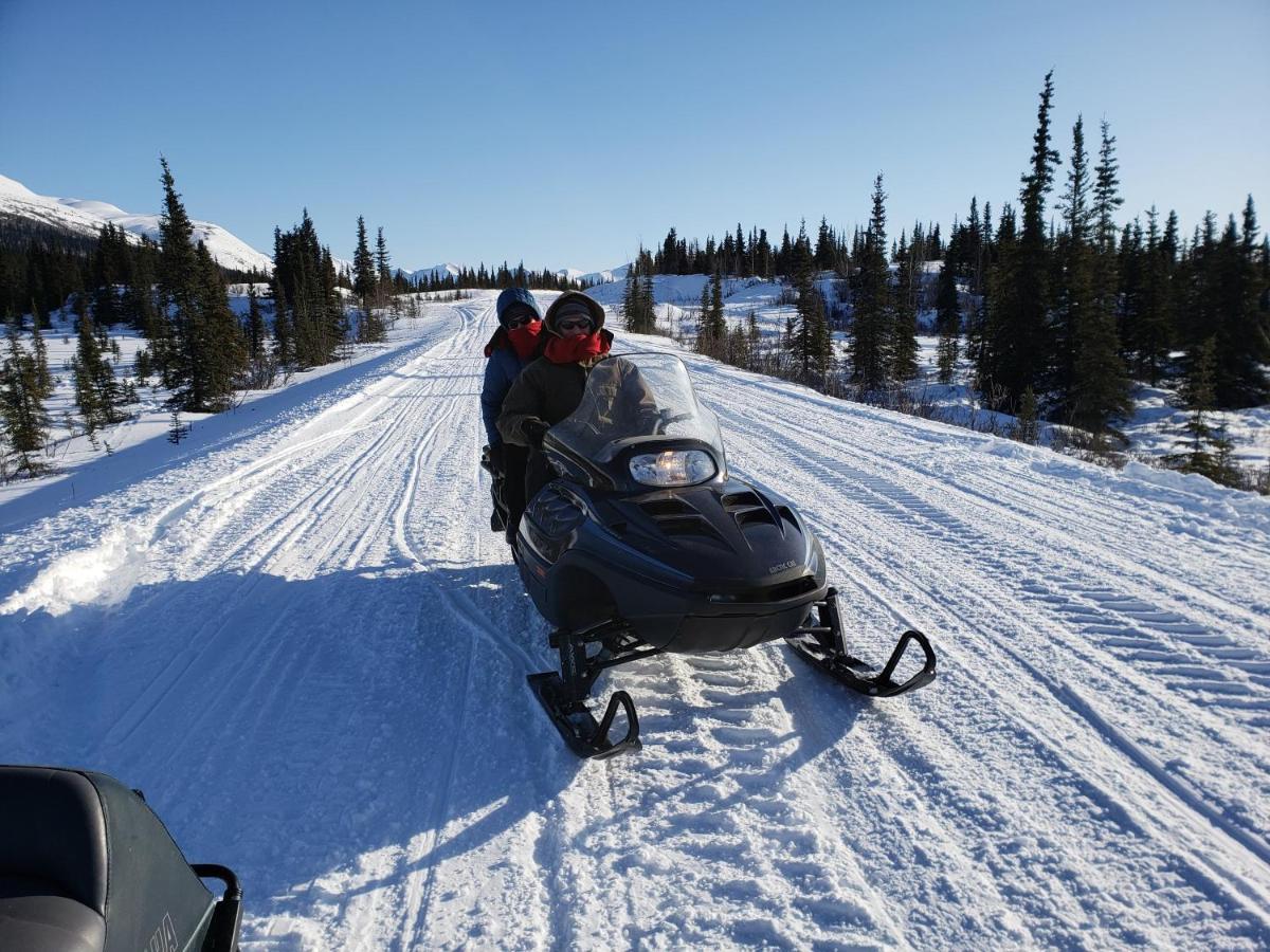 Denali Wild Stay - Moose Cabin, Free Wifi, 2 Private Bedrooms, Sleep 6 Хили Экстерьер фото