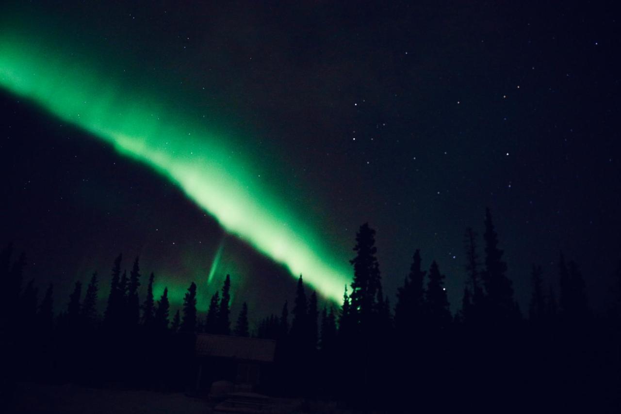 Denali Wild Stay - Moose Cabin, Free Wifi, 2 Private Bedrooms, Sleep 6 Хили Экстерьер фото