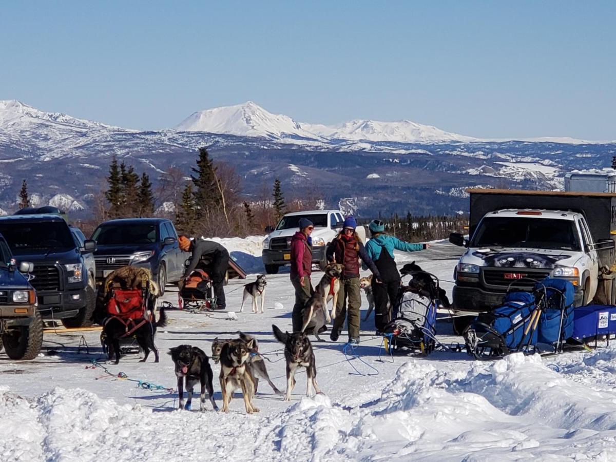 Denali Wild Stay - Moose Cabin, Free Wifi, 2 Private Bedrooms, Sleep 6 Хили Экстерьер фото