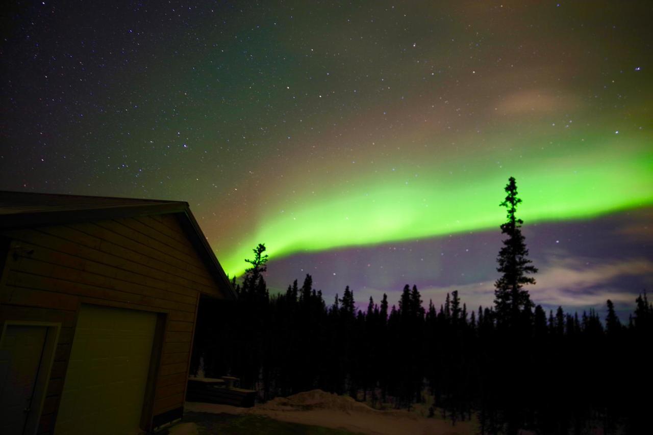 Denali Wild Stay - Moose Cabin, Free Wifi, 2 Private Bedrooms, Sleep 6 Хили Экстерьер фото