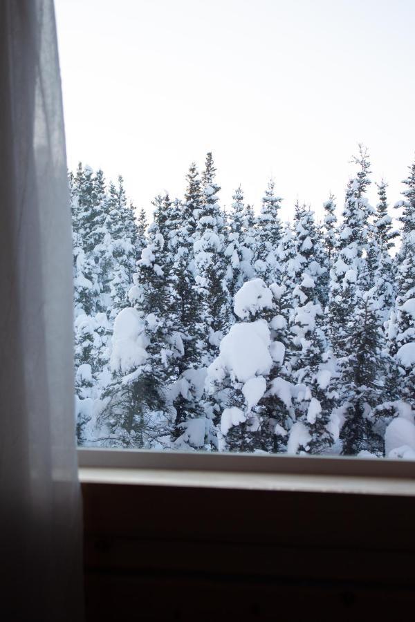 Denali Wild Stay - Moose Cabin, Free Wifi, 2 Private Bedrooms, Sleep 6 Хили Экстерьер фото