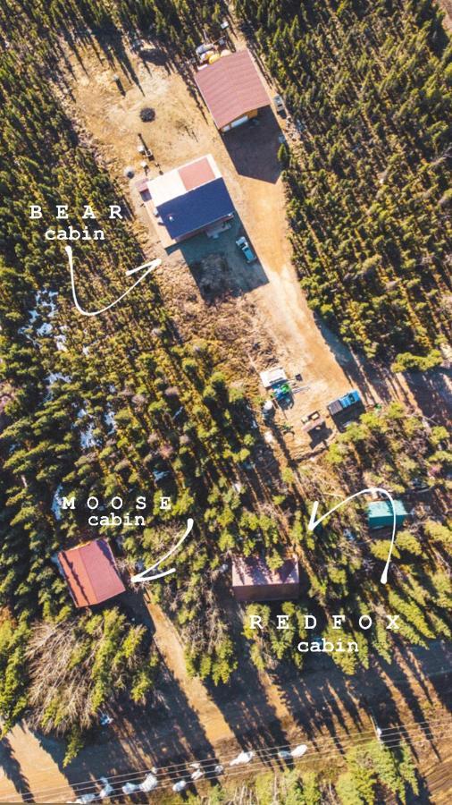 Denali Wild Stay - Moose Cabin, Free Wifi, 2 Private Bedrooms, Sleep 6 Хили Экстерьер фото