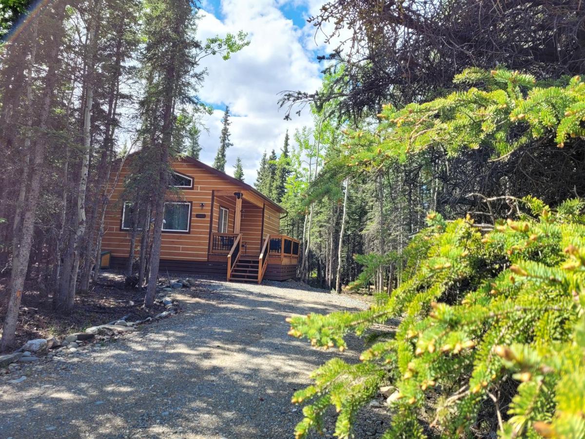 Denali Wild Stay - Moose Cabin, Free Wifi, 2 Private Bedrooms, Sleep 6 Хили Экстерьер фото